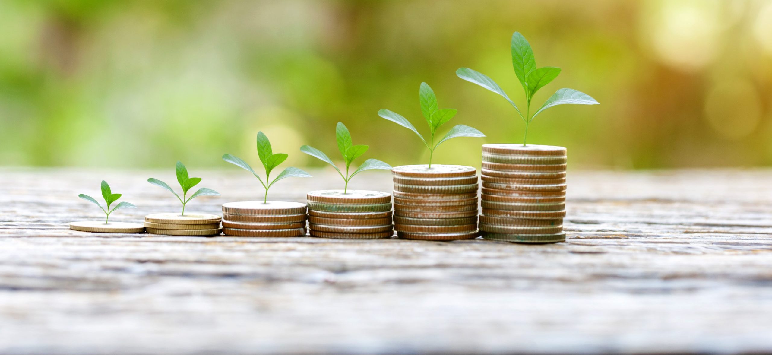 Business Growth
